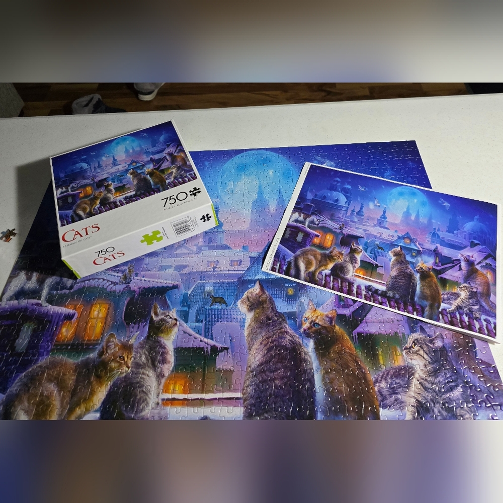 B2G1 🩵 EUC 750 piece cat puzzle "Assembly of Cats"